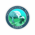 Chassahowitzka River Florida Sticker (Peel N' Stick)